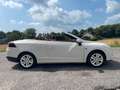 Renault Megane Cabriolet Floride Panorama Keyless bež - thumbnail 6