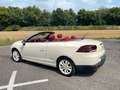 Renault Megane Cabriolet Floride Panorama Keyless bež - thumbnail 10
