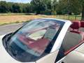Renault Megane Cabriolet Floride Panorama Keyless bež - thumbnail 16