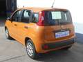 Fiat Panda 3ª 1.2 Easy Finanziato Oranžová - thumbnail 5