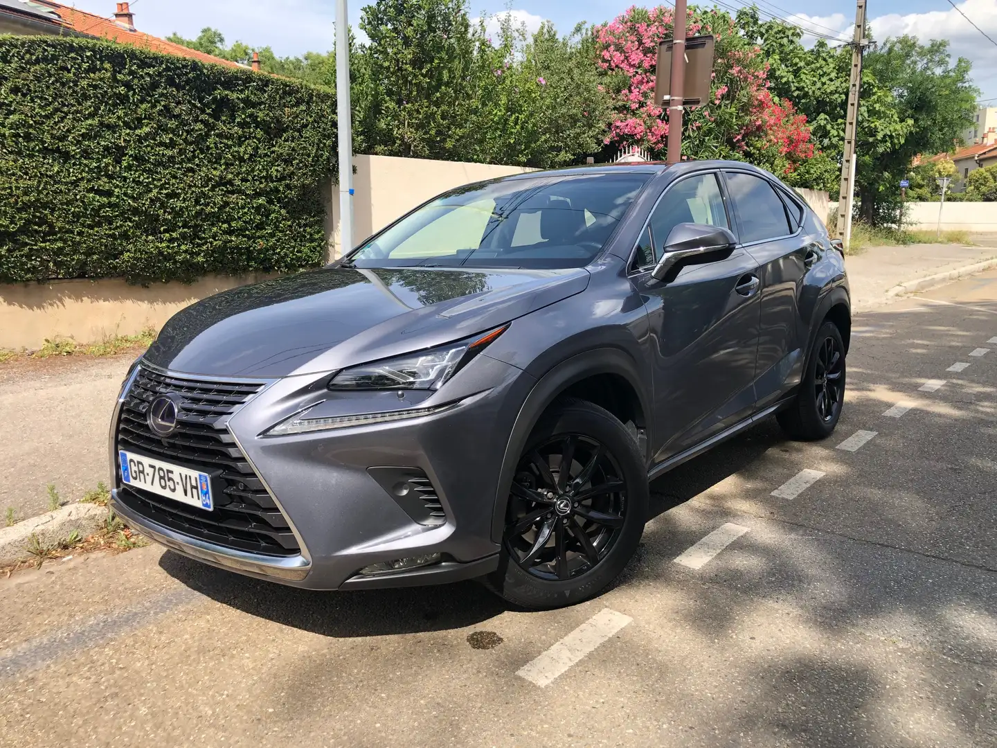 Lexus NX 300h NX 300h 4WD E-CVT Executive Gris - 1