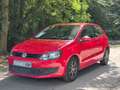 Volkswagen Polo 1.2i 70cv//RADIO//CD//GARANTIE 12 MOIS Rot - thumbnail 3