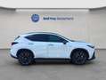 Lexus Sonstige NX350h 4x4 F-Sport + Panorama Modell2026 Weiß - thumbnail 6