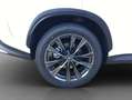 Lexus Sonstige NX350h 4x4 F-Sport + Panorama Modell2026 Weiß - thumbnail 8