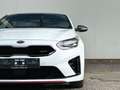 Kia ProCeed / pro_cee'd pro cee'd GT /Pano/Led/Leder/ACC/SHA Weiß - thumbnail 3