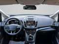 Ford C-Max 1.0 Titanium #NAV #DAB #SHZ #KAM Blau - thumbnail 11