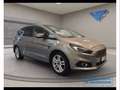 Ford S-Max 2.0 TDCi Titanium Business Grigio - thumbnail 8