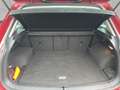 Volkswagen Tiguan 1.4 TSI ACT BMT DSG Sound LED GJR Navi Ap Rot - thumbnail 7