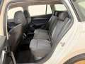 Skoda Octavia Combi 2,0 TDI Style DSG Weiß - thumbnail 10