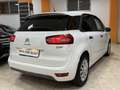 Citroen C4 Picasso 1.6BlueHDI S&S Intensive Plus 120 Weiß - thumbnail 5