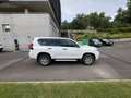 Toyota Land Cruiser Land Cruiser D-4D GX GX Blanco - thumbnail 4