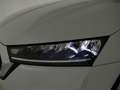 Skoda Octavia Wagon 2.0 tdi evo Executive 115cv Bianco - thumbnail 5