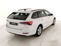 Skoda Octavia Wagon 2.0 tdi evo Executive 115cv Bianco - thumbnail 3