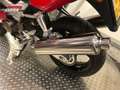Honda VTR 1000 F FIRESTORM Rood - thumbnail 7
