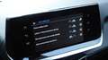 Peugeot 2008 PureTech 100 S&S Active GPL Grau - thumbnail 29