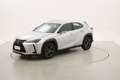 Lexus UX 250h Hybrid Executive 2.0 Full Hybrid 184CV Argento - thumbnail 1