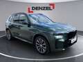 BMW X5 xDrive40i G05 B58 Grün - thumbnail 6