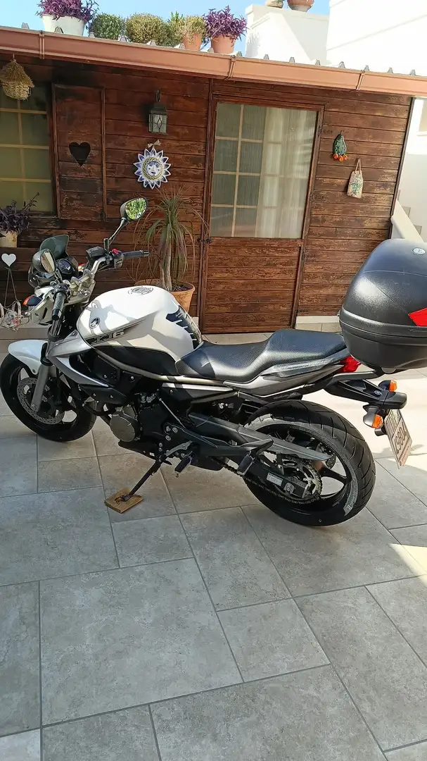 Yamaha XJ 6 bauletto e cupolino Biały - 1