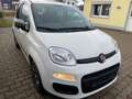 Fiat Panda Panda 1.2 My Panda Weiß - thumbnail 2