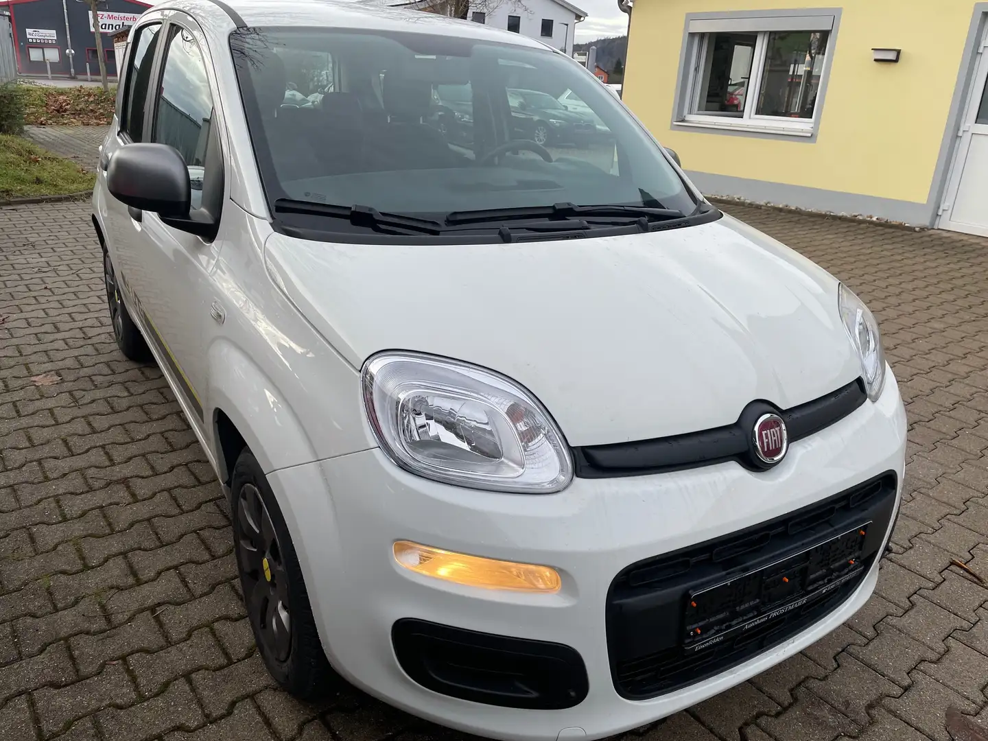 Fiat Panda Panda 1.2 My Panda Weiß - 2