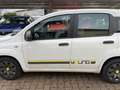 Fiat Panda Panda 1.2 My Panda Weiß - thumbnail 5