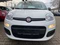 Fiat Panda Panda 1.2 My Panda Weiß - thumbnail 15
