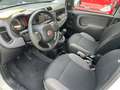 Fiat Panda Panda 1.2 My Panda Weiß - thumbnail 12