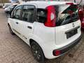 Fiat Panda Panda 1.2 My Panda Weiß - thumbnail 4