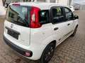 Fiat Panda Panda 1.2 My Panda Weiß - thumbnail 3