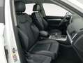 Audi Q5 40 TDI S line quattro-ultra S tronic 140kW Blanco - thumbnail 8