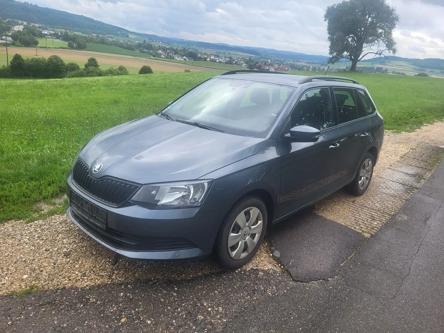 Skoda Fabia Active Grau - 1