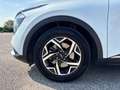 Kia Sportage 1.6 tgdi mhev Business imt Bianco - thumbnail 5