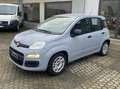Fiat Panda Panda 1.0  Hybrid NEOPATENTATI Grigio - thumbnail 3