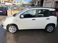 Fiat Panda Panda 0.9 t.air t. natural power Pop 80cv Weiß - thumbnail 4