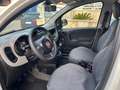 Fiat Panda Panda 0.9 t.air t. natural power Pop 80cv Weiß - thumbnail 11