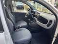 Fiat Panda Panda 0.9 t.air t. natural power Pop 80cv Weiß - thumbnail 23