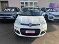 Fiat Panda Panda 0.9 t.air t. natural power Pop 80cv Weiß - thumbnail 2