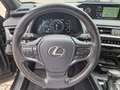 Lexus UX 250h Launch Edition AHK*Navi*KAM*DAB*SHZ Schwarz - thumbnail 13