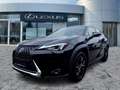 Lexus UX 250h Launch Edition AHK*Navi*KAM*DAB*SHZ Schwarz - thumbnail 2