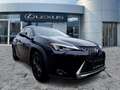 Lexus UX 250h Launch Edition AHK*Navi*KAM*DAB*SHZ Schwarz - thumbnail 7