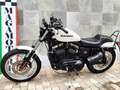 Harley-Davidson Sportster 883 Bianco - thumbnail 7