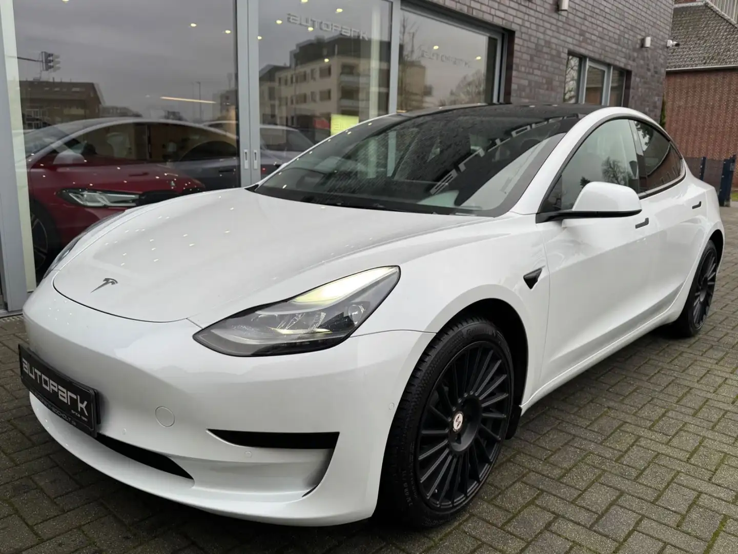 Tesla Model 3 SR+ LFP Akku RWD Pano LenkHeiz AHK 19" Weiß - 1
