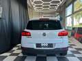 Volkswagen Tiguan Sport Weiß - thumbnail 5