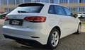 Audi A3 SPB 35 TFSI Business Bianco - thumbnail 4