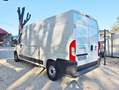 Fiat Ducato 2.3 M-JET 140 MAXI PDC NON VINCOLI Blanc - thumbnail 6