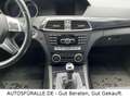 Mercedes-Benz C 220 CDI*T-Modell*BlueEfficiency*SH*Klima*TOP! Schwarz - thumbnail 16