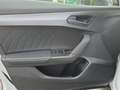CUPRA Formentor . Blanco - thumbnail 12