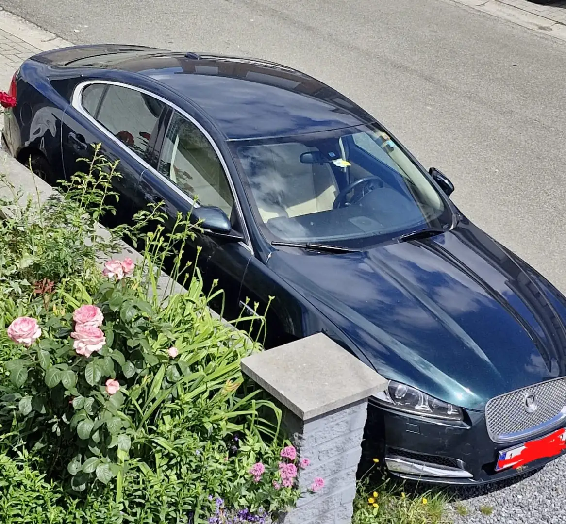 Jaguar XF XF 2.2 D Zelená - 1