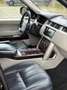 Land Rover Range Rover Range Rover 4.4 SDV8 SVAutobiography Bleu - thumbnail 10