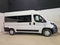 Fiat Ducato 30 2.3 MJT 140CV PC-TN Panorama 9 POSTI Bianco - thumbnail 3